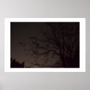 Recherche de ciel étoilé posters Belle