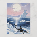 Recherche de mammifère marin invitations Orque