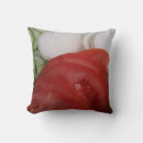 Recherche de légumes coussins Nourriture