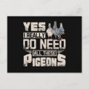 Recherche de élevage cartes postales Pigeon
