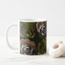 Recherche de succulent plant tasses Nature