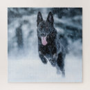 Recherche de chiens loup puzzles Animal