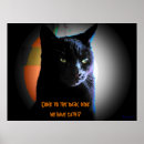 Recherche de contacts posters Chat