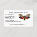 Recherche de insecte fait sur commande cartes visite Insectes