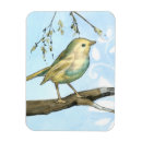 Recherche de moineau magnets Arbre
