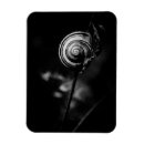 Recherche de et escargot magnets Nature