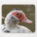Recherche de canards électronique Oiseaux sauvages