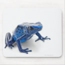 Recherche de reptiles tapis souris Balance
