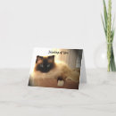 Recherche de kitty cat vœux cartes Chats