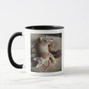 Recherche de chaton espiègle tasses À l'intérieur