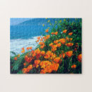 Recherche de coquelicot puzzles Botanique