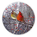 Recherche de oiseau rouge boutons et poignées de porte Hiver