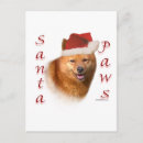 Recherche de spitz noël cartes Animaux