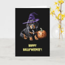 Recherche de dachshund cartes halloween Citrouille