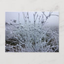 Recherche de givre cartes postales Hiver