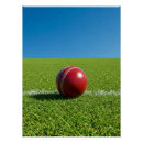 Recherche de cricket posters Balle