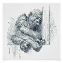 Recherche de singe de bébé posters Toute personne