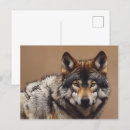 Recherche de loup sauvage cartes postales Faune