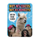 Recherche de cirque magnets Pas mon cirque