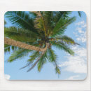 Recherche de noix coco tapis souris Tropical
