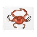 Recherche de crabe rouge magnets Vie marine