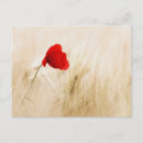 Recherche de seulement cartes postales Nature