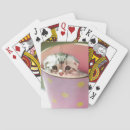 Recherche de chaton jeux de cartes Photographie