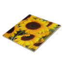 Recherche de tournesol carreaux Plantes