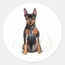 Recherche de pi autocollants Animal