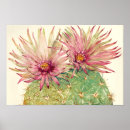 Recherche de cactus rose posters Vert