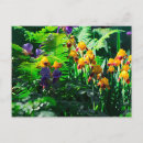 Recherche de iris monet cartes postales Giverny