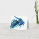 Recherche de bêta vœux cartes Poisson