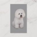 Recherche de bichons cartes visite Chiot