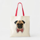 Recherche de chien repéré Tacheté