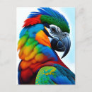 Recherche de peinture de perroquet cartes postales Amoureux des oiseaux