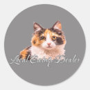 Recherche de mignon chaton autocollants Calico