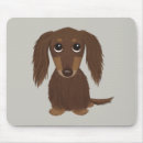 Recherche de longs cheveux tapis souris Dachshund