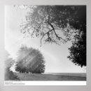 Recherche de ansel adam art Photographie