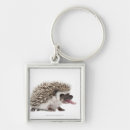 Recherche de pointu porteclés Nature