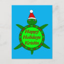Recherche de coquille de tortue cartes postales Animaux
