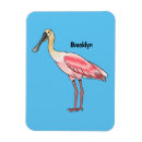 Recherche de spatule magnets Oiseau