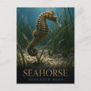 Recherche de hippocampes cartes postales Pour tous