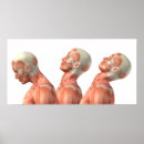 Recherche de human head Illustration