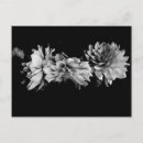 Recherche de dahlia cartes postales Nature