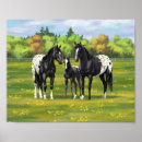 Recherche de poulain posters Animaux de ferme
