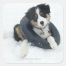 Recherche de low temperature autocollants Horizontal