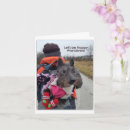 Recherche de voyageur vœux cartes Mignon