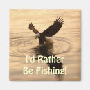 Recherche de rapaces magnets Faune