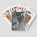 Recherche de tigres blancs jeux de cartes Animal