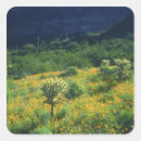 Recherche de fleur nationale autocollants Vert